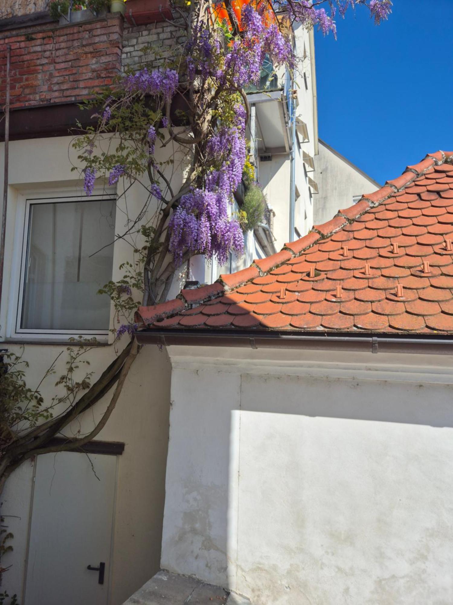 Moebelierte Séjour chez l'habitant Steyr